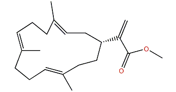16-Methoxycarbonyl-cembrene A